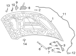 Image of Hood Seal (Front, Rear, Upper) image for your 2022 Ram ProMaster 3500   