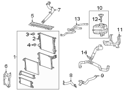 Engine Coolant Overflow Hose