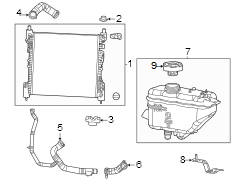 Hose. Radiator. (Lower). Flexible Hose that is.