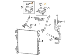 Radiator Coolant Hose