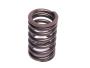 Image of Valve Spring image for your Nissan