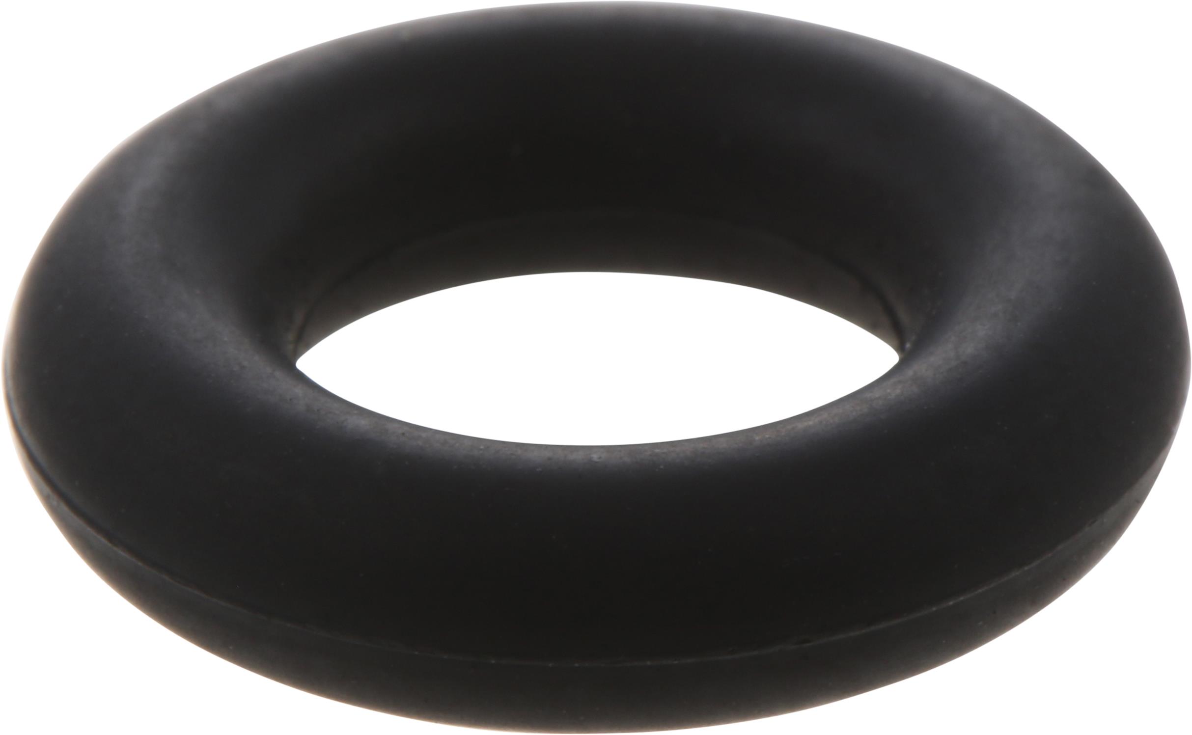 1368061 O RING; FUEL RETURNING - CNG Spare Parts