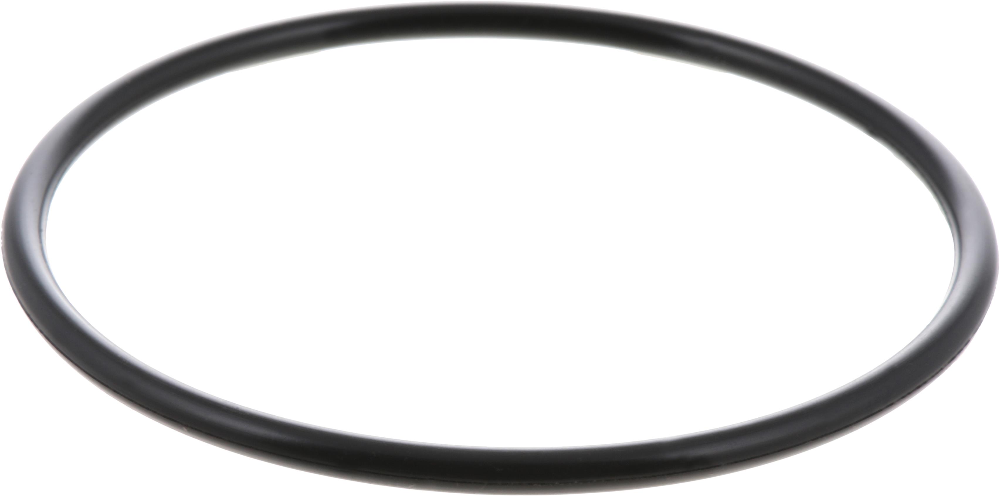 Nissan Maxima Seal O Ring. Thermostat Gasket. ENGINE - 21049-ZL80C ...