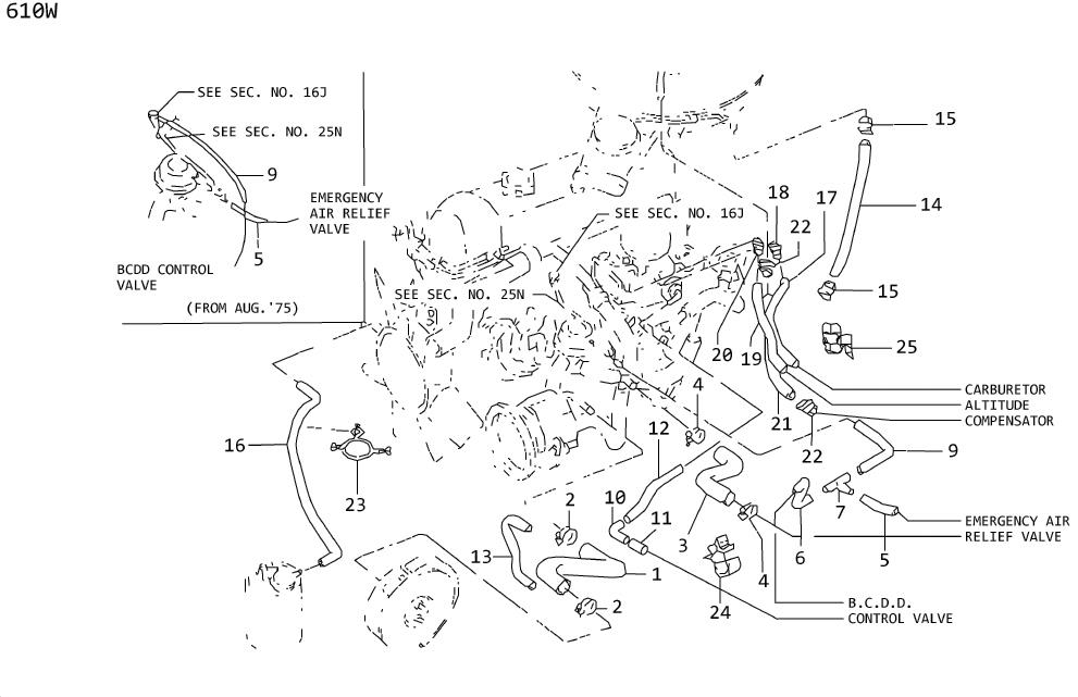 Diagram EMISSION CONTROL HOSES for your Nissan Murano  