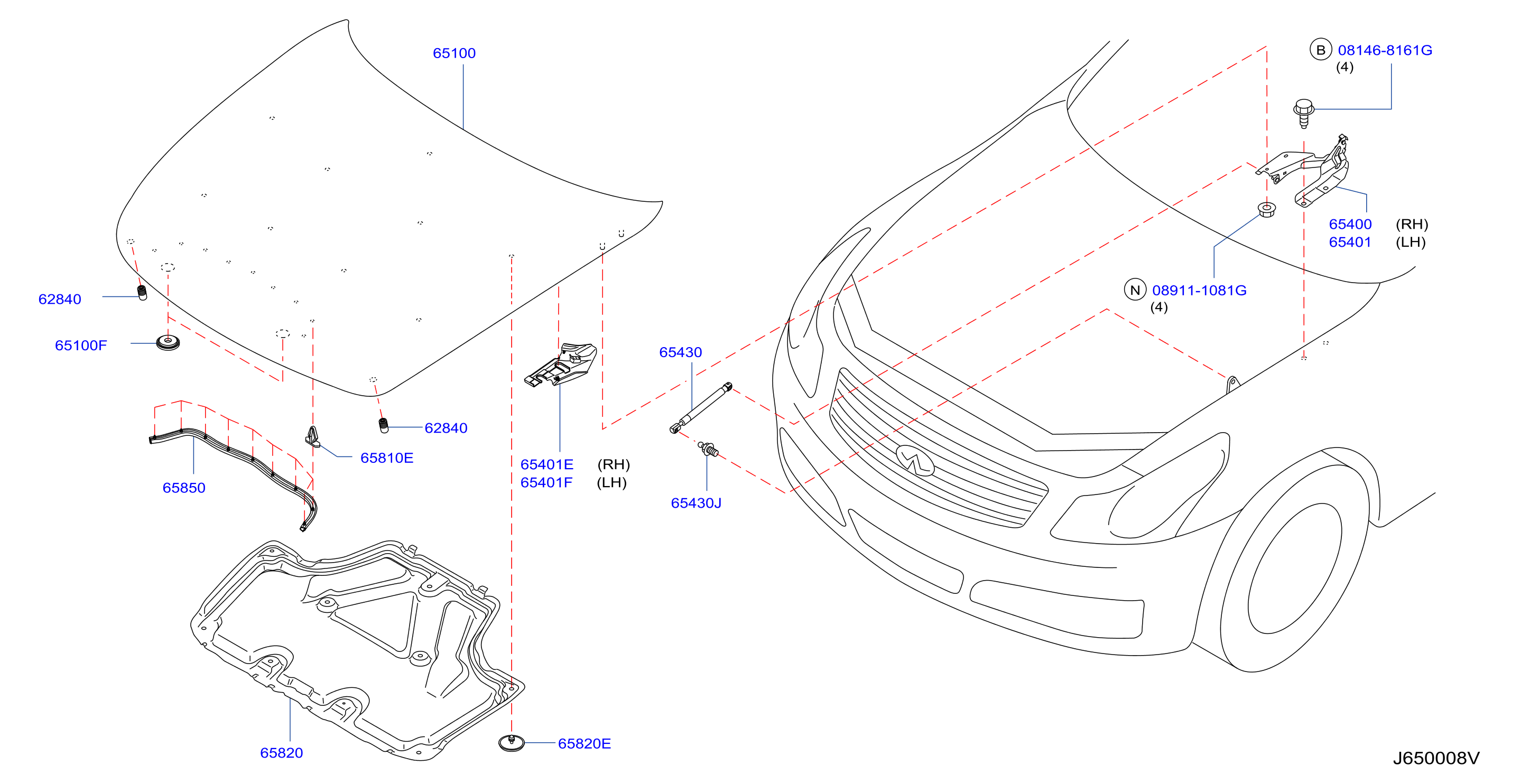 Diagram HOOD PANEL,HINGE & FITTING for your 2007 INFINITI M35   
