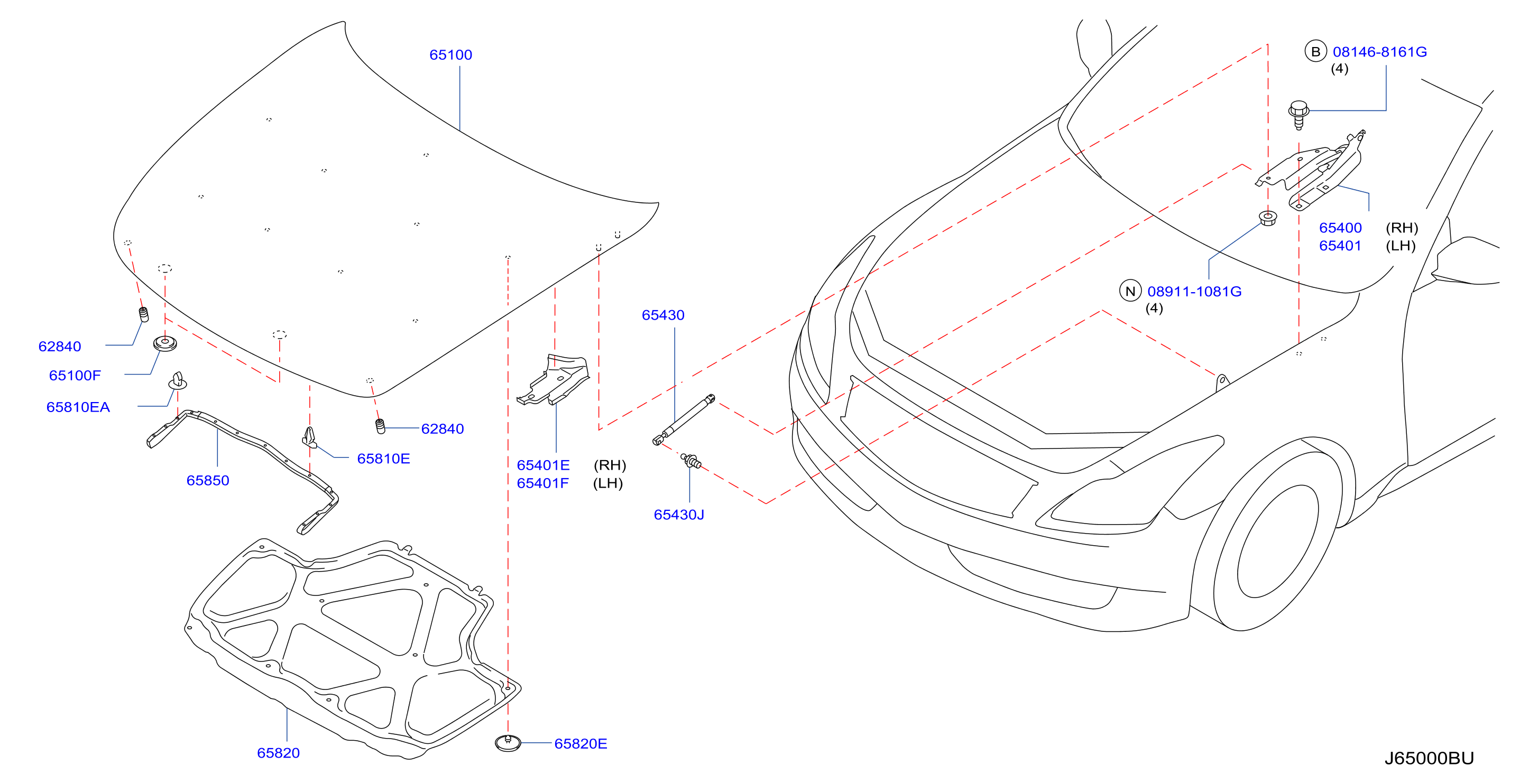 Diagram HOOD PANEL,HINGE & FITTING for your 2007 INFINITI M35   