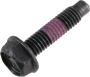 View Interior Grab Bar Screw Full-Sized Product Image