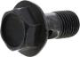 Image of Screw. image for your 2014 Nissan NV3500   