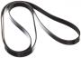 Image of Serpentine Belt image for your INFINITI QX56  