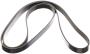 Image of Serpentine Belt image for your 2016 INFINITI Q60   