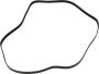 View Serpentine Belt Full-Sized Product Image 1 of 5
