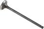 Image of Engine Exhaust Valve. Engine Exhaust Valve. image for your 2020 Nissan NV2500   