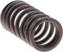 View Engine Valve Spring Full-Sized Product Image 1 of 1