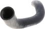 Image of Radiator Coolant Hose (Upper) image for your 1995 INFINITI G20   