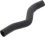 Image of Radiator Coolant Hose (Upper) image for your 2020 Nissan Frontier   