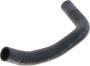 Image of Radiator Coolant Hose (Lower) image for your 2007 INFINITI QX56   
