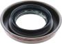 Image of Differential Pinion Seal image for your 2010 Nissan Titan Crew Cab SV  
