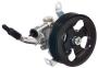 Image of Power Steering Pump image for your 2008 Nissan Titan   