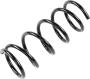 Image of Coil Spring (Rear) image for your 2019 Nissan Titan King Cab PRO/4X  