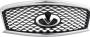Image of Grille Radiator. (Front) image for your 2010 INFINITI QX56   