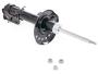 Image of Suspension Strut (Left, Front). Cartridge and Base of. image for your 2017 Nissan Frontier   