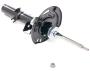Image of Suspension Strut (Left, Front). Cartridge and Base of. image for your 2017 Nissan Frontier   