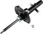 Image of Suspension Strut (Left, Front). Cartridge and Base of. image for your 2017 Nissan Murano   