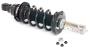 Image of Shock Absorber Kit. (Front) image for your 2011 INFINITI QX80 5.6L V8 AT AWD LE/HIGH 3ROW 