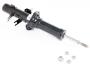 Image of Suspension Strut (Right, Front) image for your 2008 INFINITI Q40   