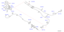 Image of PERNO image for your 2009 Nissan Maxima SEDAN 3.5S 3.5L V6 CVT 