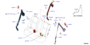 Image of CINTURON EXTENSIBLE image for your 2025 Nissan Rogue SV 2ROW 1.5L VC-Turbo 3 cylinder CVT 2WD 