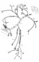 Image of Clip. image for your 1996 Porsche 911 Carrera Convertible M/T RWD