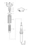Diagram suspension shock absorber strut for your Porsche
