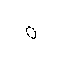 View O RING                                   Full-Sized Product Image