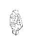 Image of CLIP image for your 2008 Subaru Impreza   