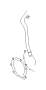 View Engine Coolant Bypass Hose Full-Sized Product Image