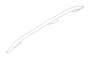 View Roof Luggage Carrier Side Rail (Left) Full-Sized Product Image 1 of 1