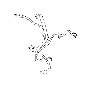 Image of Battery Cable Harness. Battery Cable. image for your 2004 Subaru Legacy   