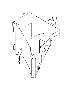 View Fusible Link SBF 80A. Nut. Full-Sized Product Image 1 of 9