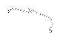 View Fuel Line. Fuel Tank Vent Hose. Tube Delivery SUB. Full-Sized Product Image 1 of 1