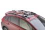 View Thule® Bike Carrier - Roof Mounted Full-Sized Product Image
