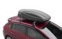 View Roof Cargo Carrier Full-Sized Product Image