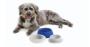 Image of Pet Travel Bowl - Medium. Wherever the road takes. image for your Subaru Forester  