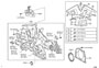 Diagram TIMING GEAR COVER & REAR END PLATE for your 2010 TOYOTA AVALON