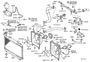 Diagram RADIATOR & WATER OUTLET for your TOYOTA