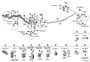 Diagram BRAKE TUBE & CLAMP for your TOYOTA