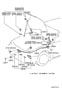 Diagram HOOD LOCK & HINGE for your 2000 TOYOTA ECHO