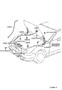 Diagram HOOD LOCK & HINGE for your 2021 TOYOTA PRIUS XLE Hatchback