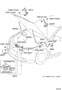 Diagram HOOD LOCK & HINGE for your 2001 TOYOTA CAMRY