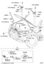 Diagram HOOD LOCK & HINGE for your 2006 TOYOTA 4RUNNER